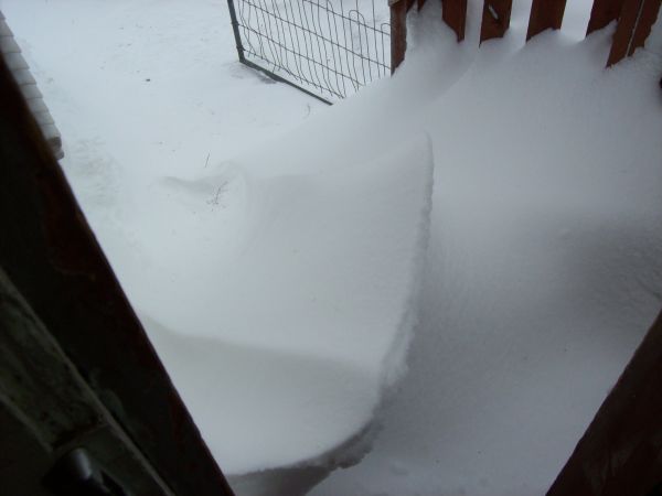 Spring-Is-Almost-Here!
